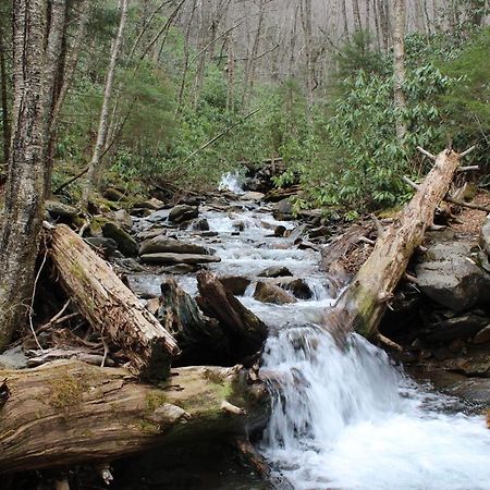 Gorgeous Large Mountain View Cabin W Hot Tub, Free Wifi, Games Villa Sevierville Exteriör bild