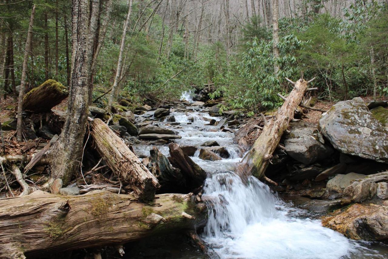 Gorgeous Large Mountain View Cabin W Hot Tub, Free Wifi, Games Villa Sevierville Exteriör bild