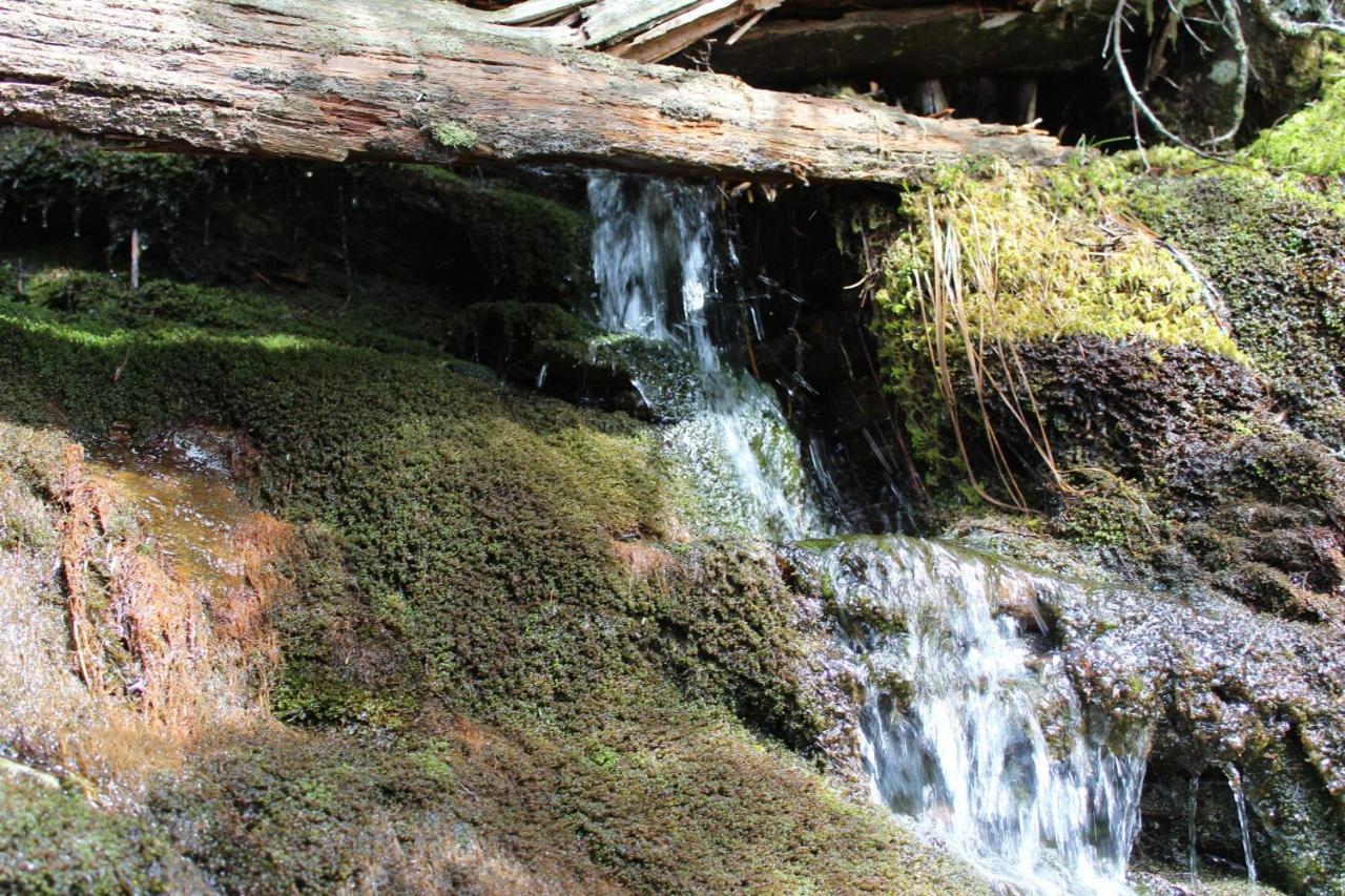 Gorgeous Large Mountain View Cabin W Hot Tub, Free Wifi, Games Villa Sevierville Exteriör bild